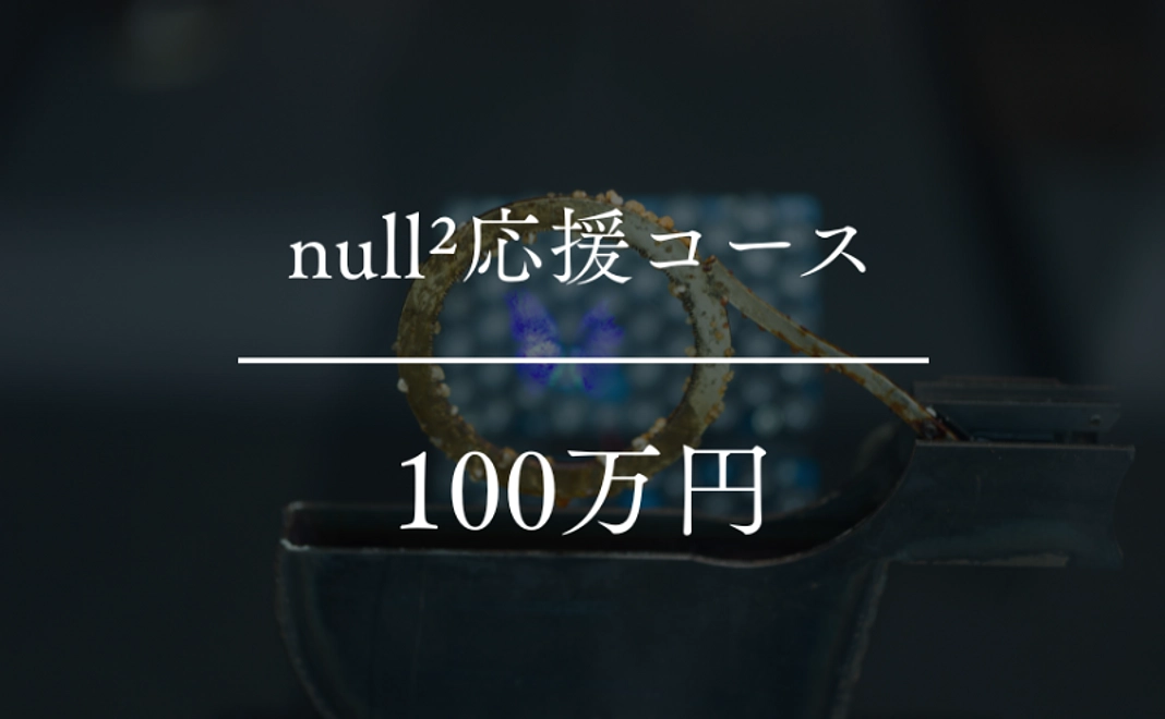 【返礼不要】null²応援コース|100万円