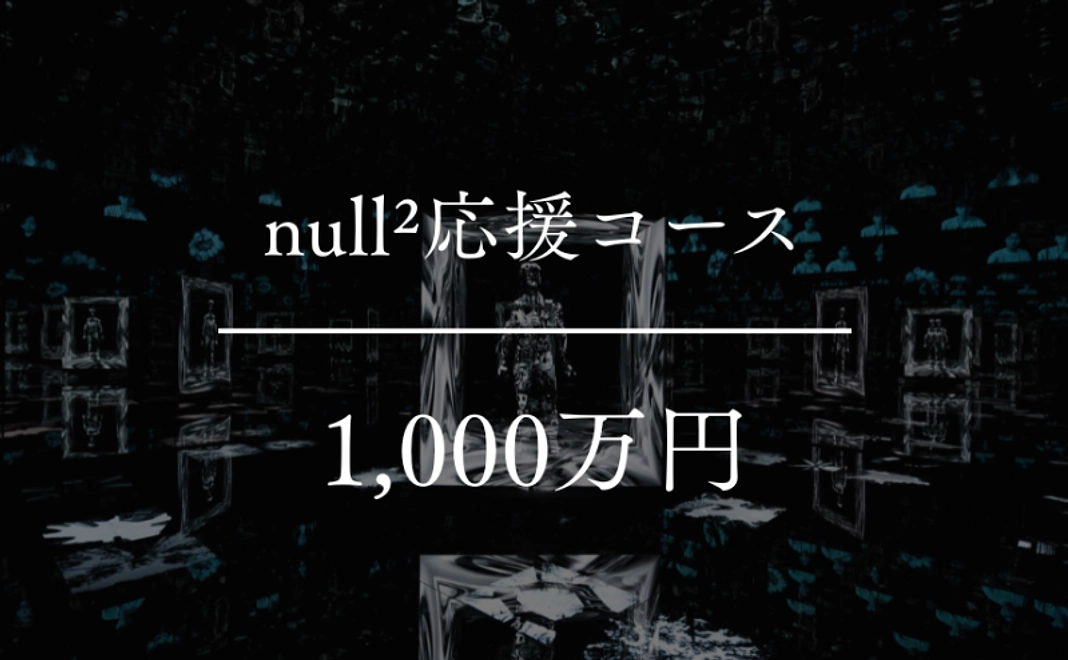 【返礼不要】null²応援コース|1,000万円