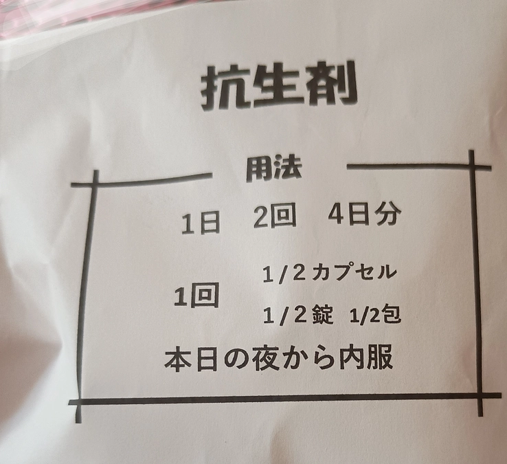 外猫さんの皮膚疾患