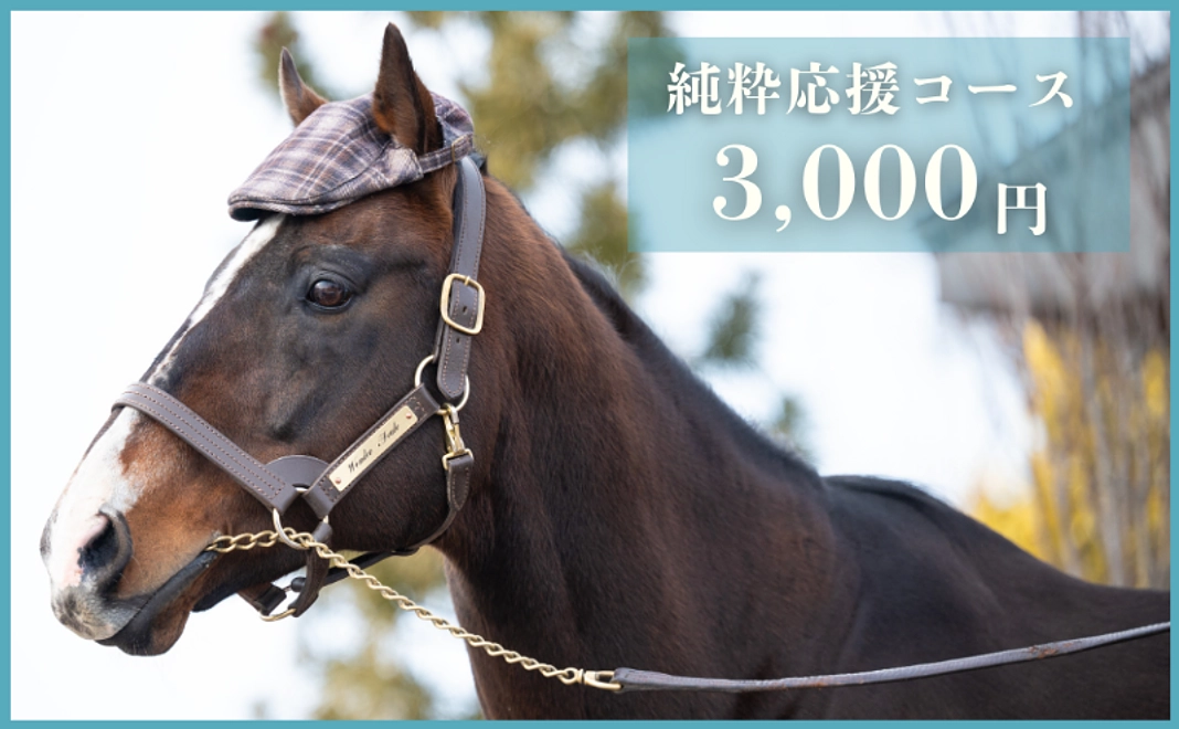 【返礼品不要な方向け】純粋応援コース｜3,000円