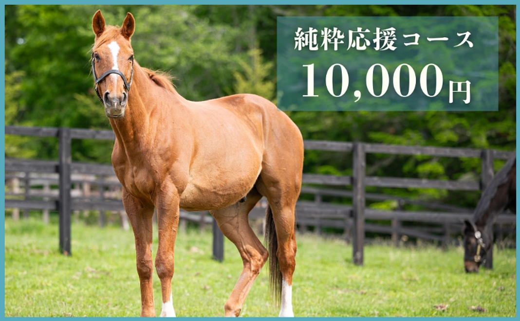 【返礼品不要な方向け】純粋応援コース｜10,000円