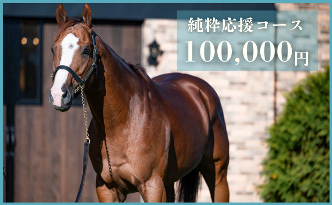 【返礼品不要な方向け】純粋応援コース｜100,000円