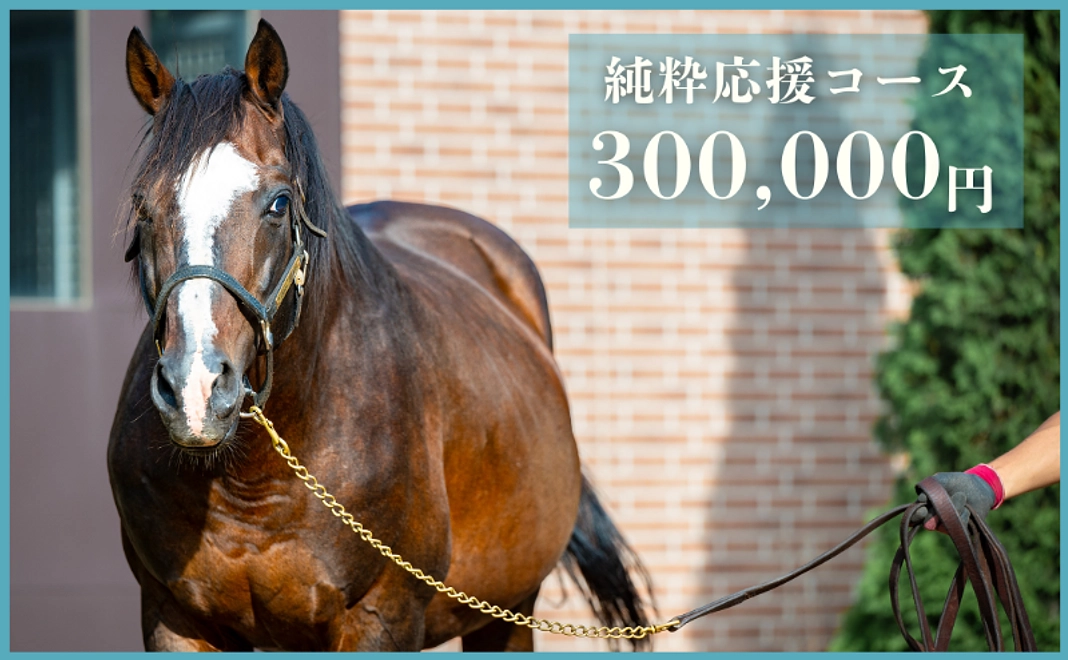 【返礼品不要な方向け】純粋応援コース｜300,000円