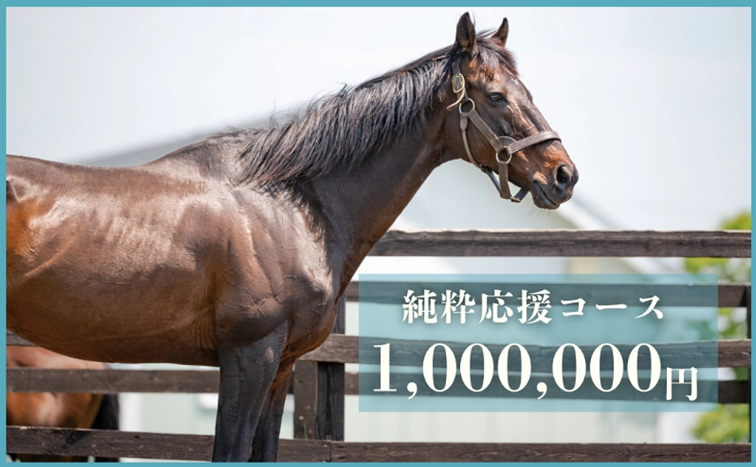 【返礼品不要な方向け】純粋応援コース｜1,000,000円