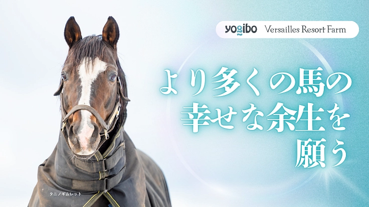 より多くの引退馬の幸せな余生を願う｜ヴェルサイユ新厩舎プロジェクト