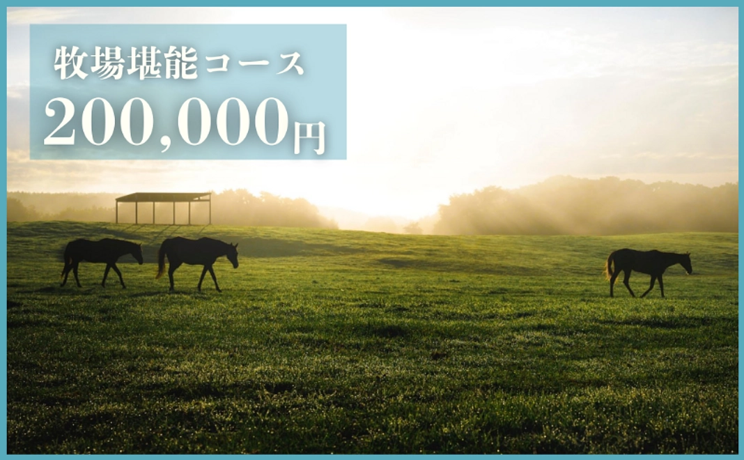 体験コース｜牧場堪能プラン（2ショット撮影権／引き馬体験／宿泊／大放牧地入場）