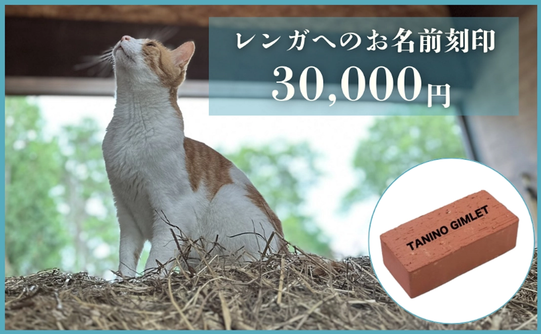 お名前掲載コース｜レンガへの刻印