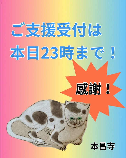 本日最終日です！