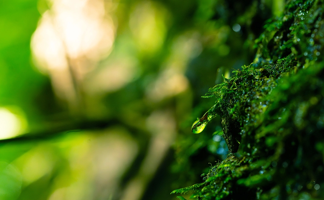 【応援】お気持ちコース（書籍へ名入れ）