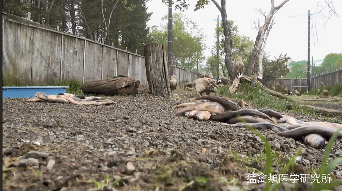 残念だったが、嬉しくもある