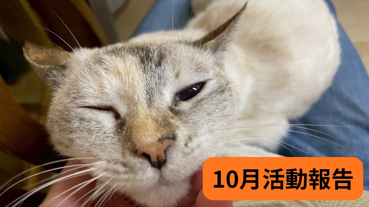 【10月活動報告】健診に行ってきました！