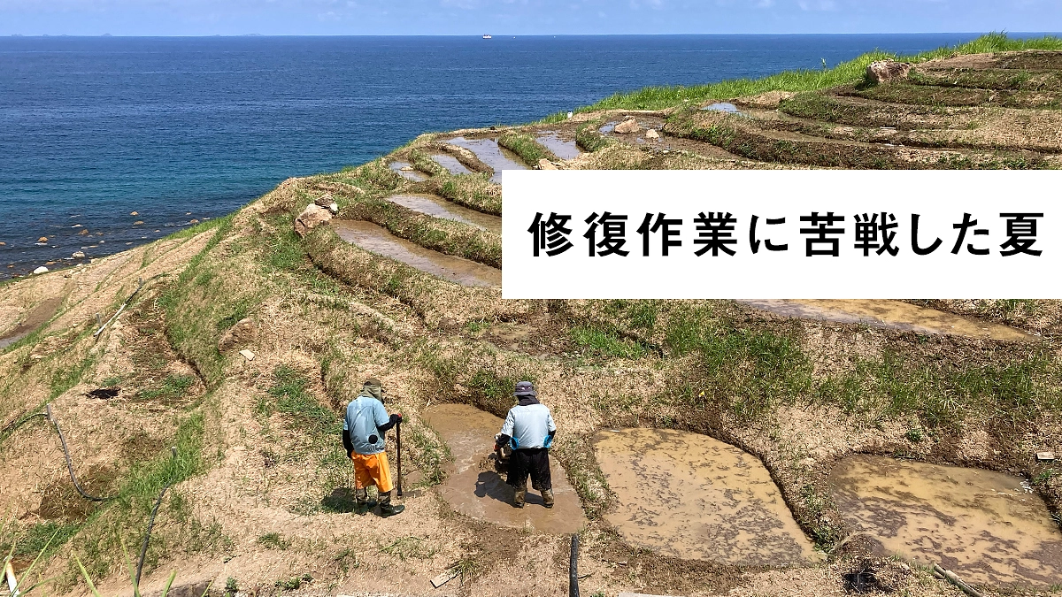 修復作業に苦戦した夏