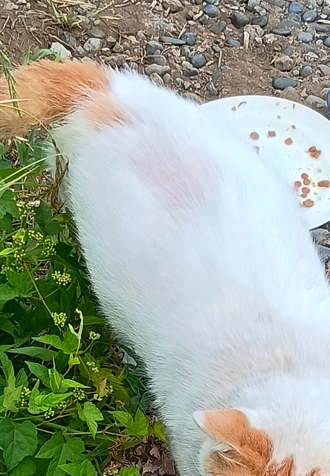 大分良くなりました