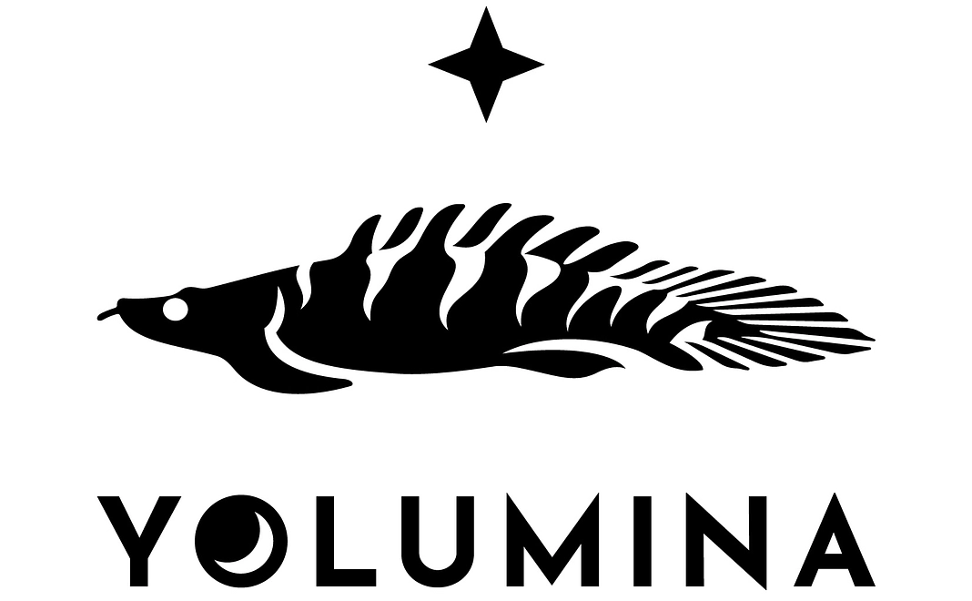 感謝のメール＋YOLUMINA開発の進捗報告