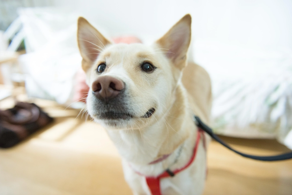 「はなぷろ通信 one by one」Vol.34