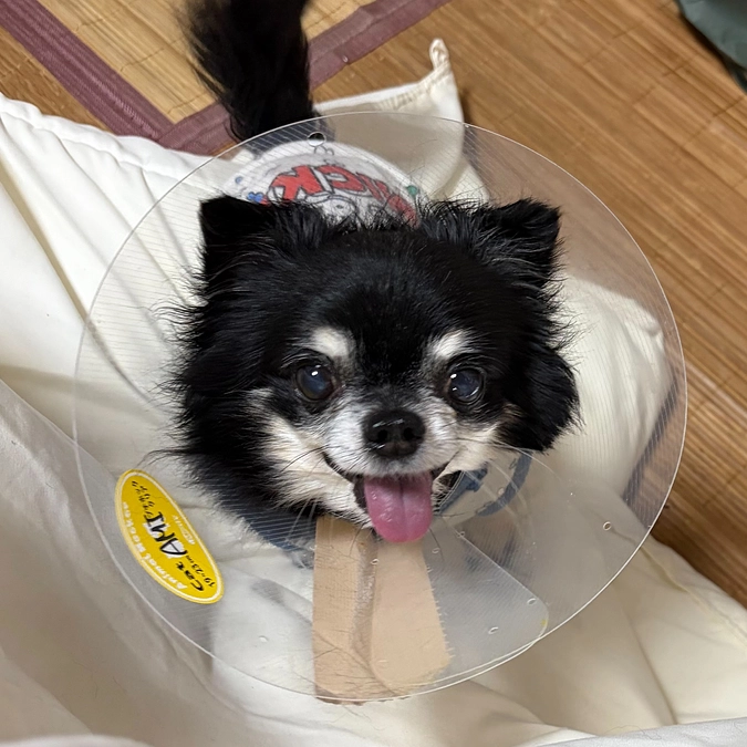 退院後1週間検診