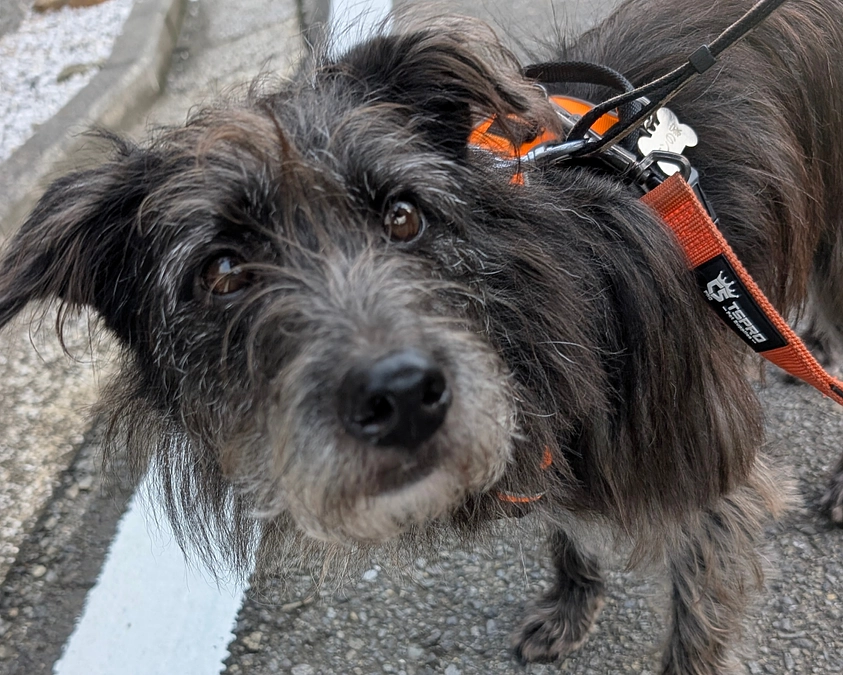 2025年7月・8月の収支報告と近況報告