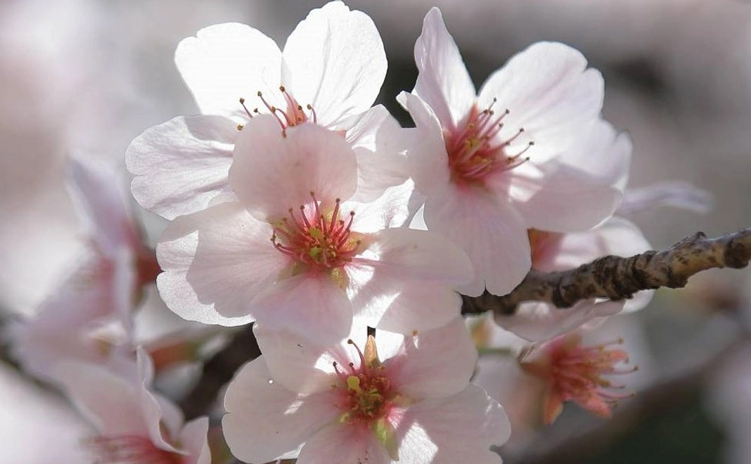 案内板背面に寄付者名を記載（10万円）