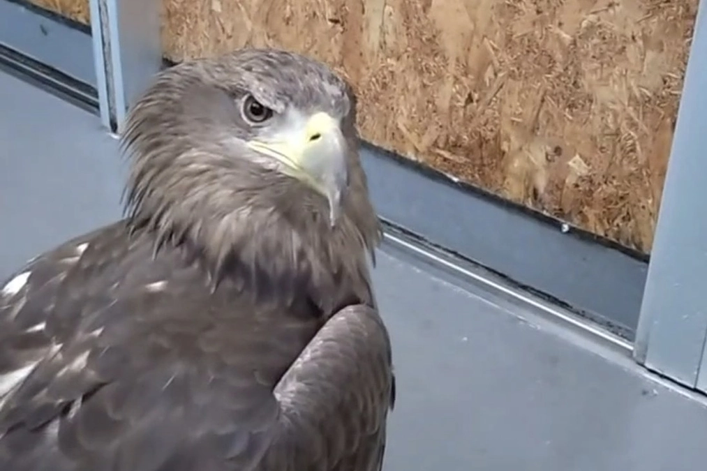 はいはい、帰りますよぉ