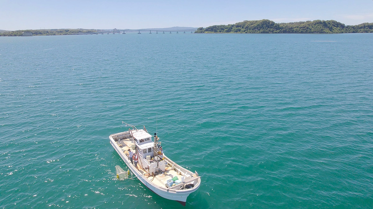 日本沿岸におけるマイクロプラスチック汚染の実態を明らかにする最新研究の成果