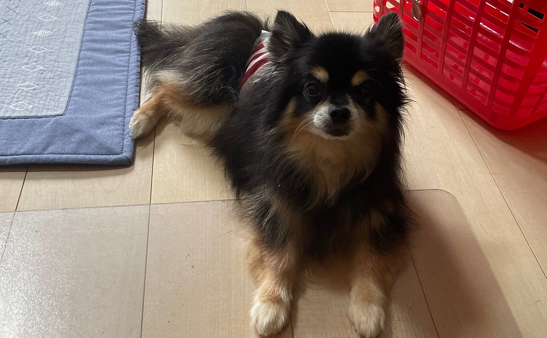 ご支援頂きありがとうございます②