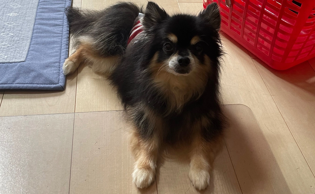 ご支援頂きありがとうございます⑤