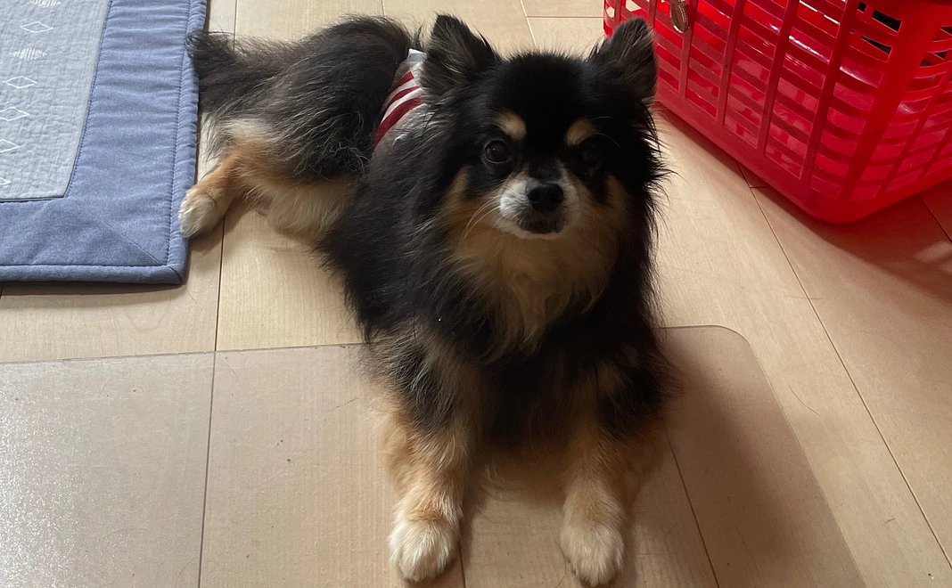 ご支援頂きありがとうございます⑦