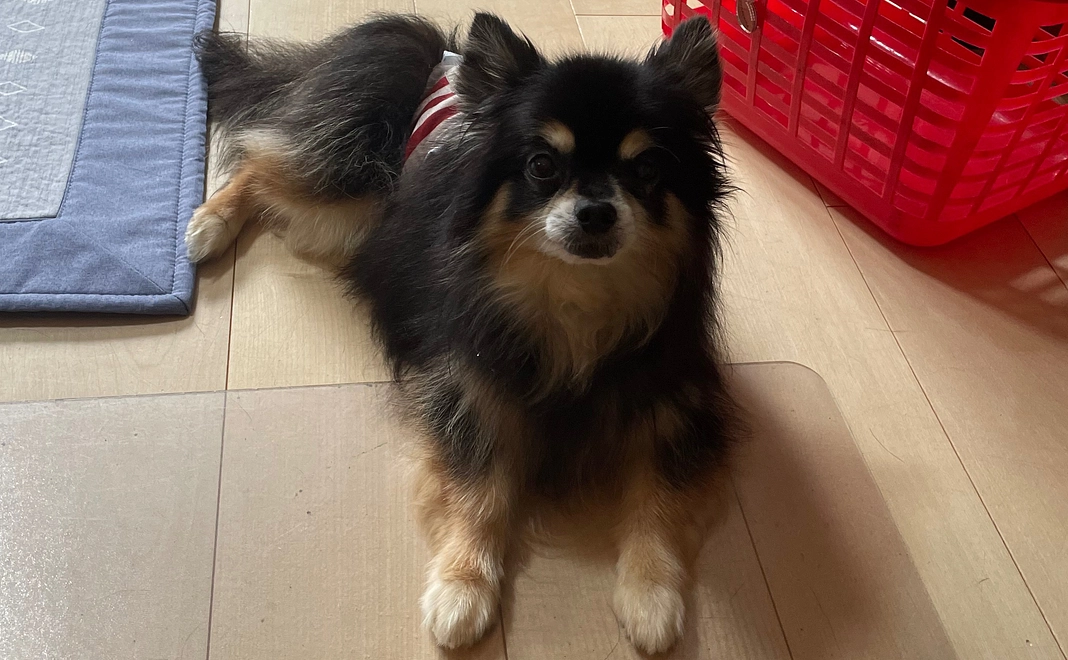 ご支援頂きありがとうございます⑧