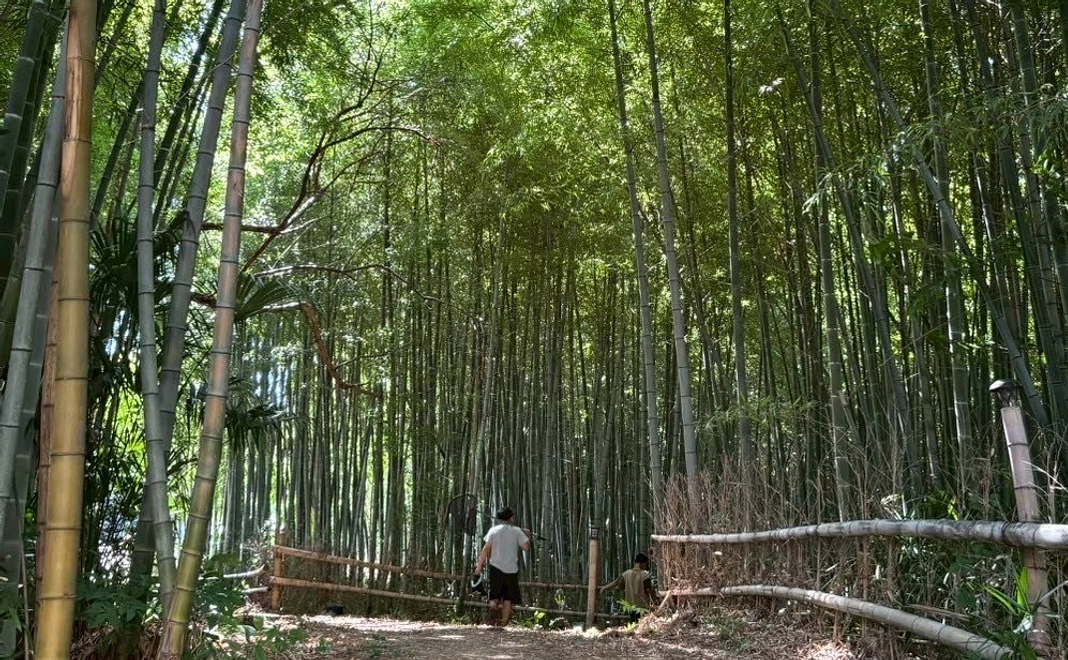 【子どもの未来をあなたと共にプロジェクト】50万円コース