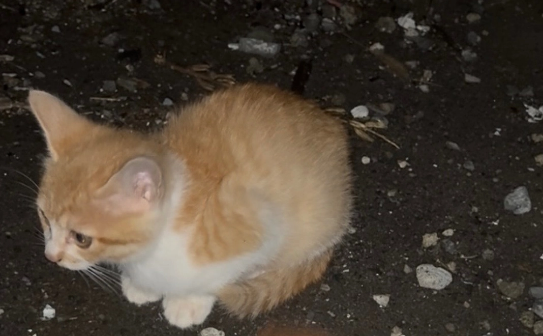 20000円感謝のメッセージ