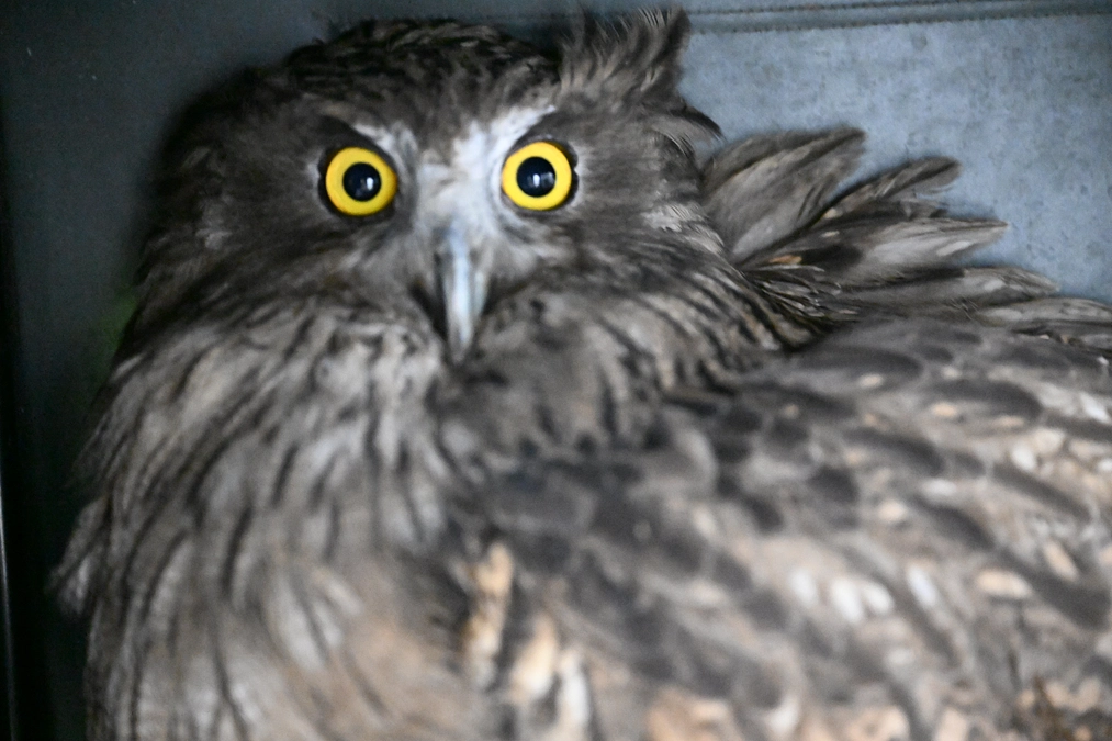 更なるリハビリテーションを開始するために