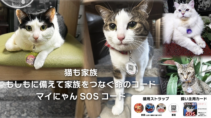 もしもの時に猫と家族を繋ぐマイにゃんSOSコードの開発と普及