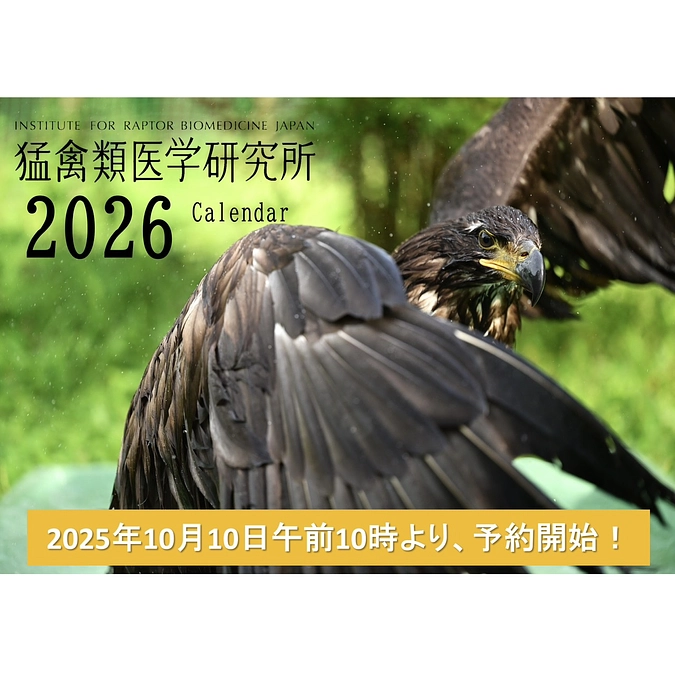 猛禽類医学研究所チャリティーカレンダー2026の予約販売を開始しました！