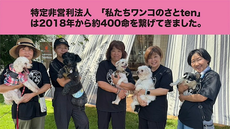 犬たちの最後の砦。犬と人の幸せを生む、新シェルタープロジェクト。 2枚目