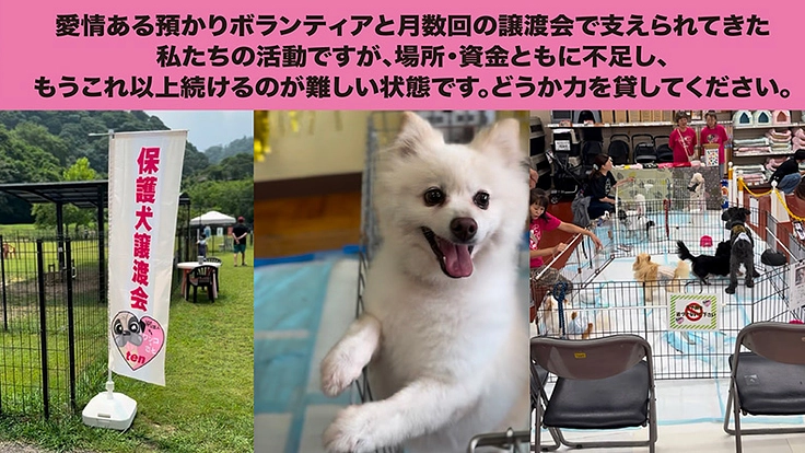 犬たちの最後の砦。犬と人の幸せを生む、新シェルタープロジェクト。 3枚目