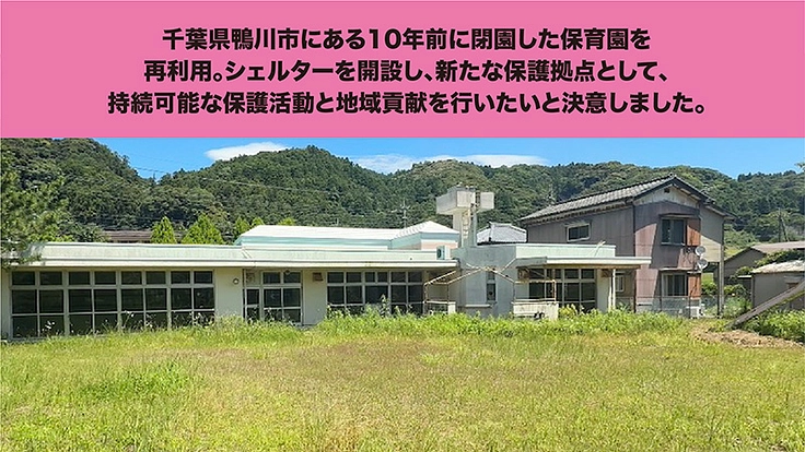 犬たちの最後の砦。犬と人の幸せを生む、新シェルタープロジェクト。 4枚目