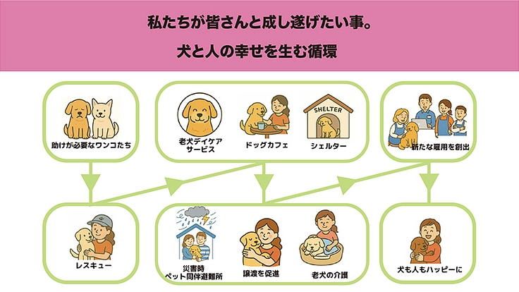 犬たちの最後の砦。犬と人の幸せを生む、新シェルタープロジェクト。 6枚目