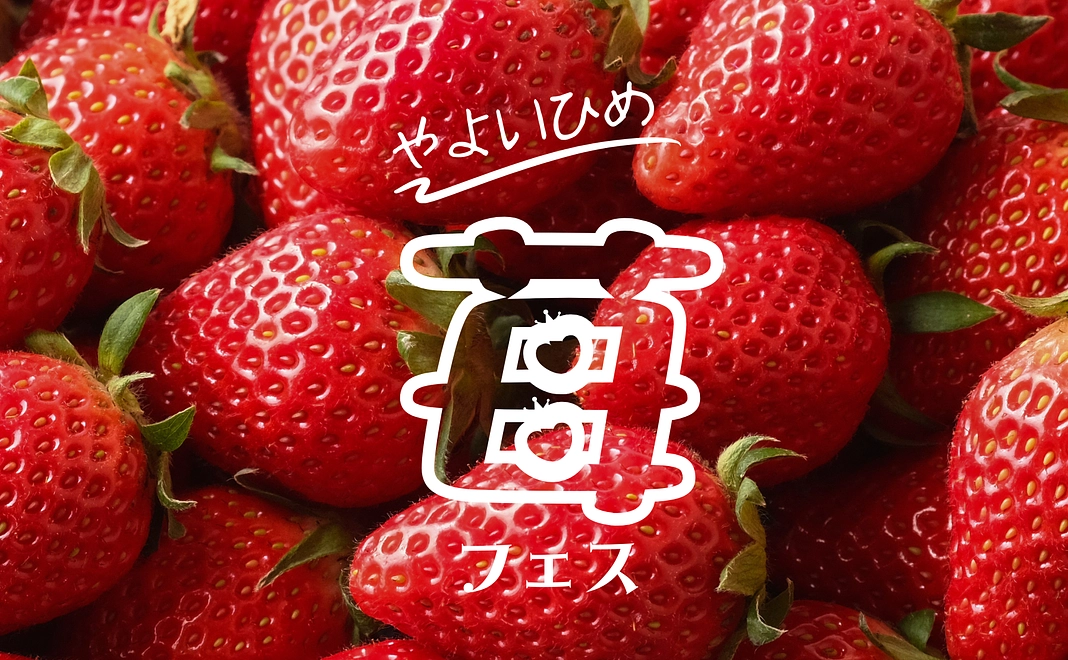 応援サポータースペシャル