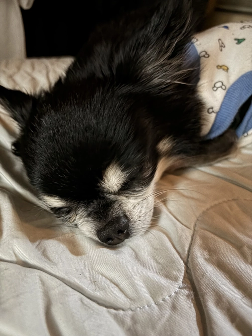 退院後の1週間検診から9日目の活動報告