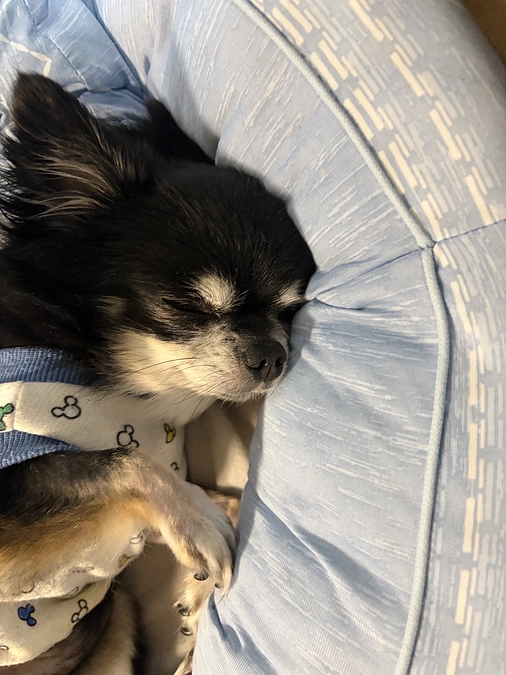 退院後の1週間検診から10日目の活動報告