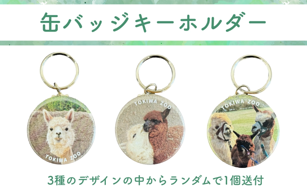 【グッズ】缶バッジキーホルダー