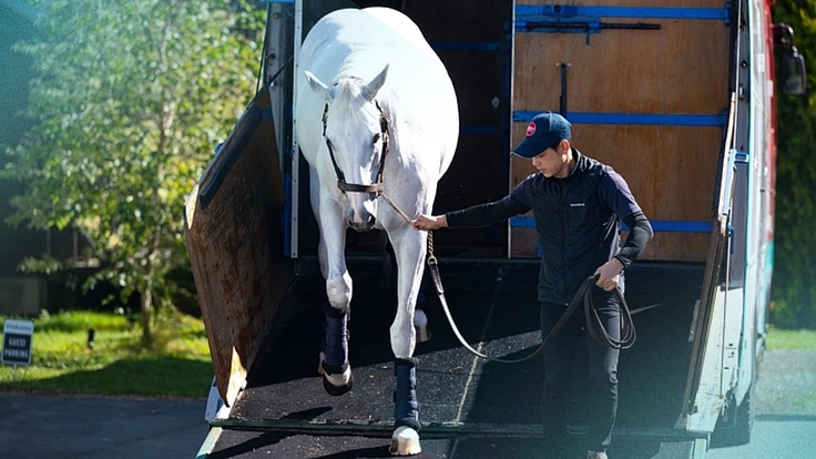 より多くの引退馬の幸せな余生を願う｜ヴェルサイユ新厩舎プロジェクト 8枚目