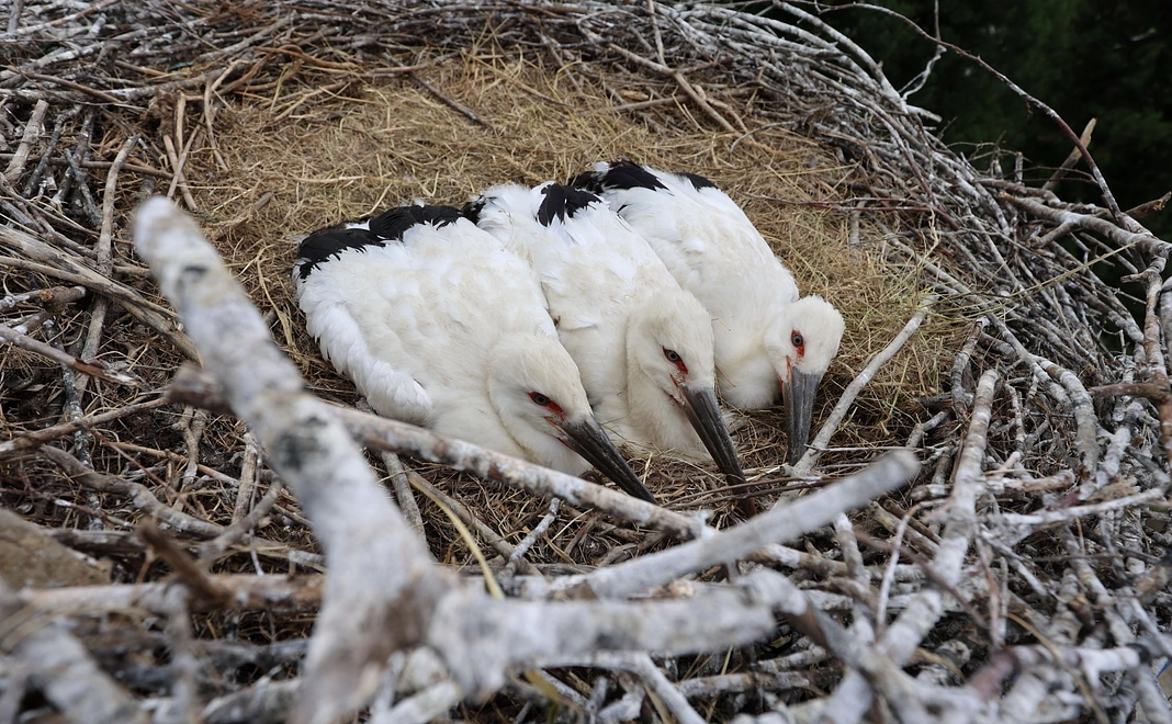 感謝のお礼メッセージ3