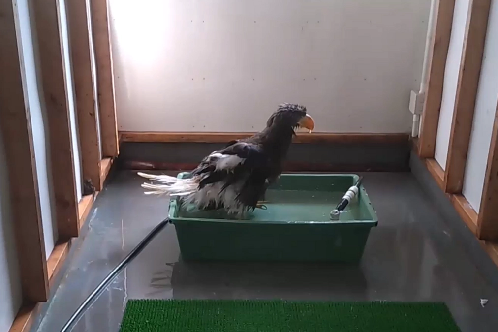 おばあちゃんのエアー入浴