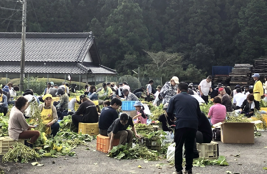 鞆渕の特産品「がんこ黒豆」収穫体験を実施しました！