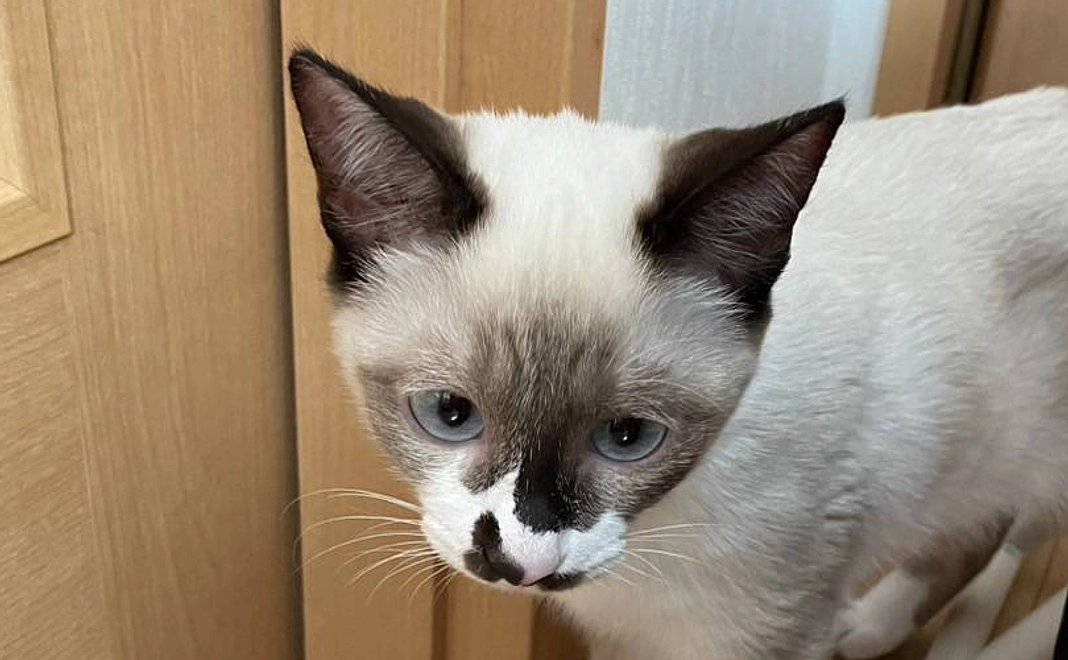 【ユウちゃん全力応援コース】