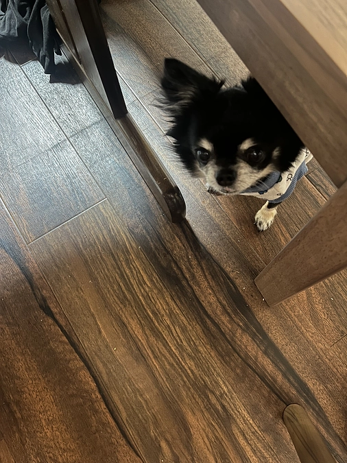 術後1ヶ月検診の活動報告