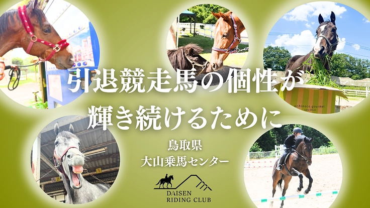 引退競走馬の個性が輝き続けるために｜大山と馬、50年の歩みを未来へ