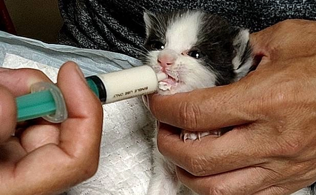 感謝のメールとオリジナルグッズ3点100000