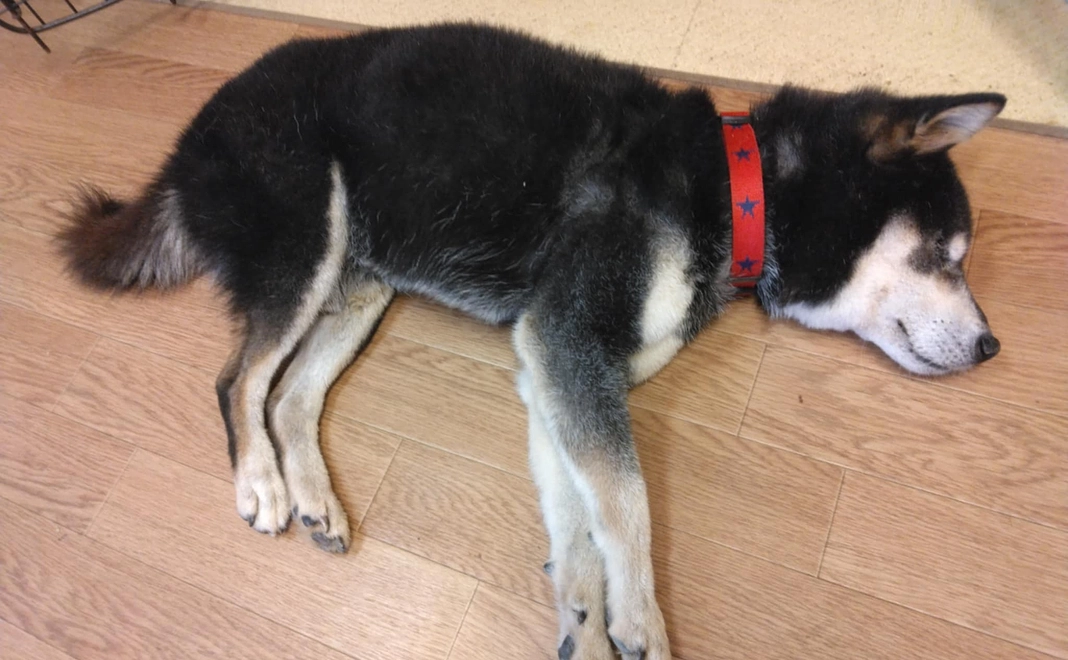 感謝のメール10000